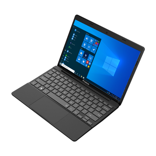 Proline V11 11.6 Celeron 4GB 500GB Win 10 Pro Grey Notebook